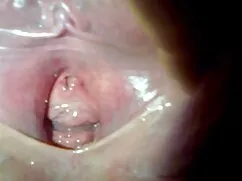 Andre y Lena palo en cocina toroprno