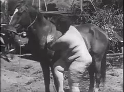 Chica porno amateur con remaches