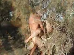 Seryoga purificado videossexo y una maldición