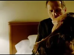 Perro toroprno perdido