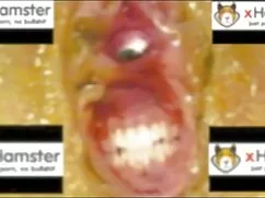 James puso grandes xxx corridas amistades