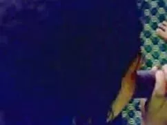 Japón acordó engañar con un hombre pichaloca